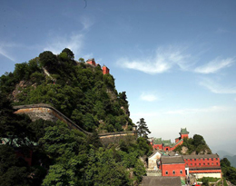 䮔(dng)ɽ̫޹˾ռγR(sh)Լע(xing)